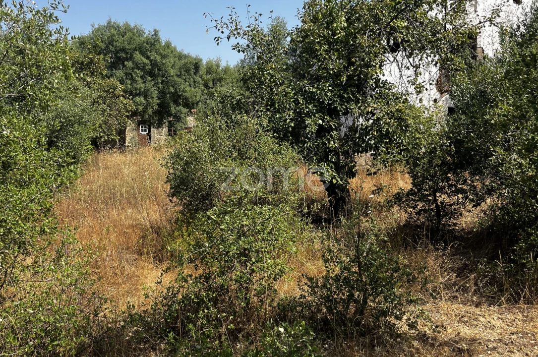 Terreno para Venda em Ninho do Açor e Sobral do Campo Foto 19