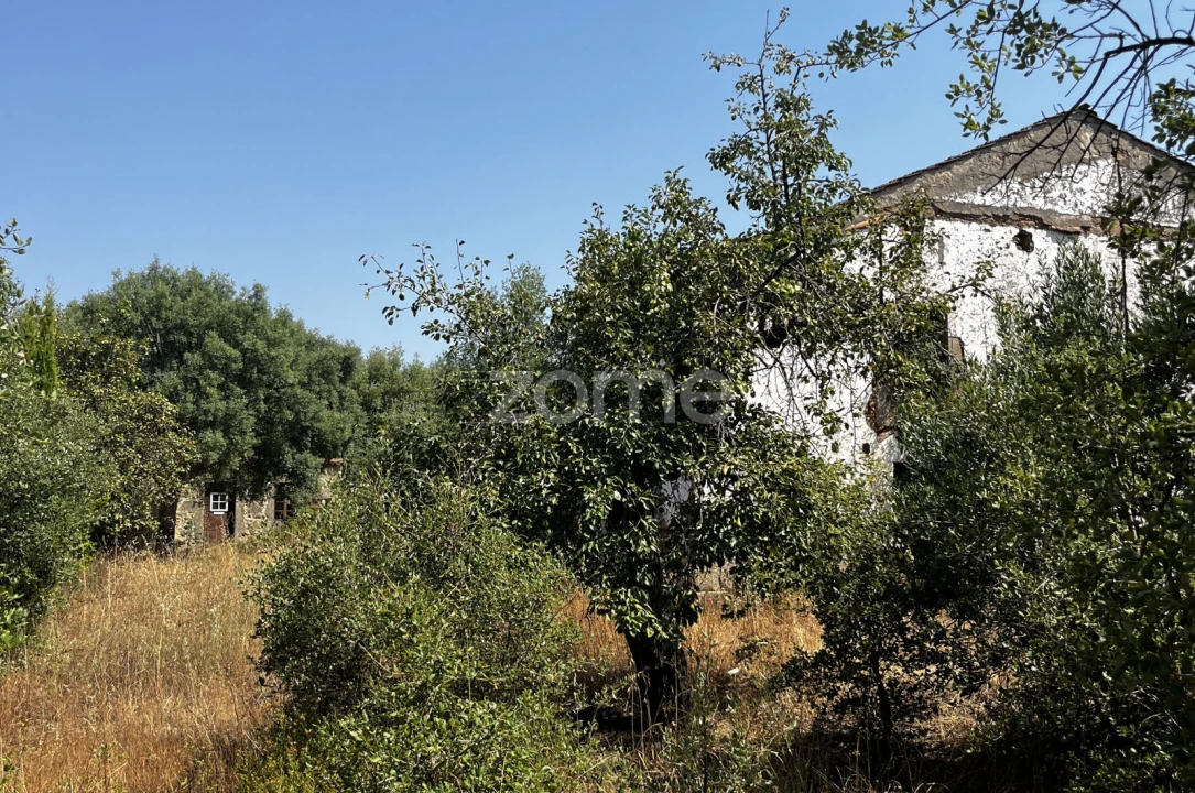 Terreno para Venda em Ninho do Açor e Sobral do Campo Foto 20