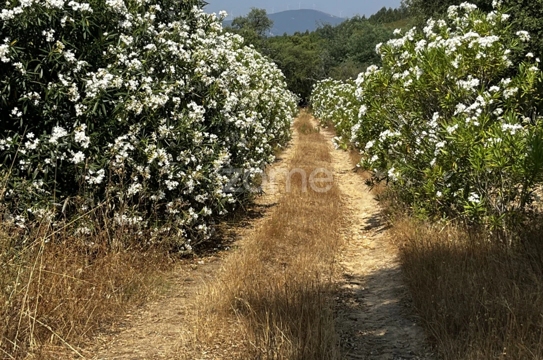 Terreno para Venda em Ninho do Açor e Sobral do Campo Foto 22