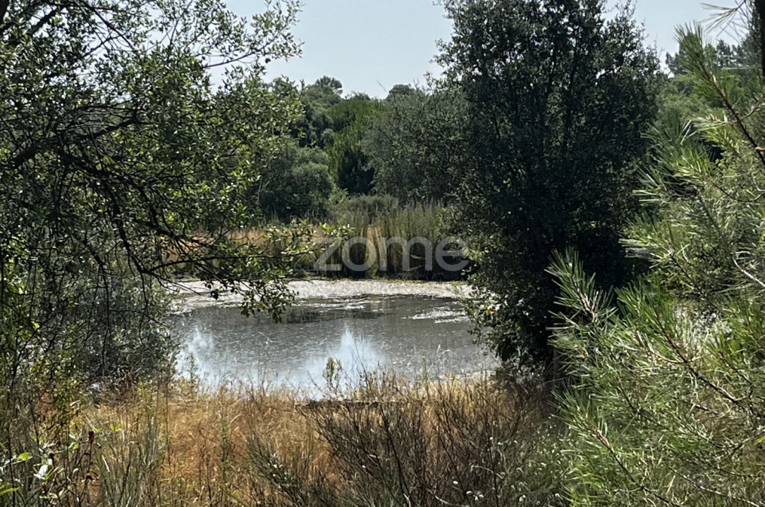Terreno para Venda em Ninho do Açor e Sobral do Campo Foto 25
