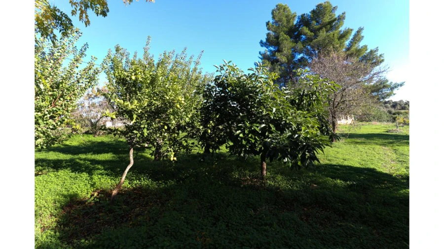 Moradia T4 para Venda em Mexilhoeira Grande Foto 34