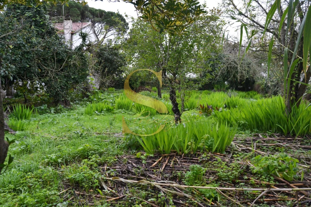 Moradia T3 para Venda em Maceira Foto 8