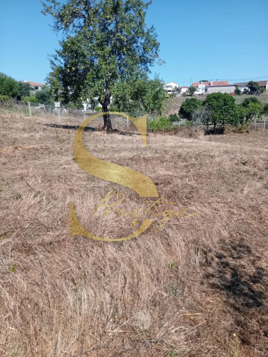 Moradia T3 para Venda em Santa Catarina da Serra e Chainça Foto 22