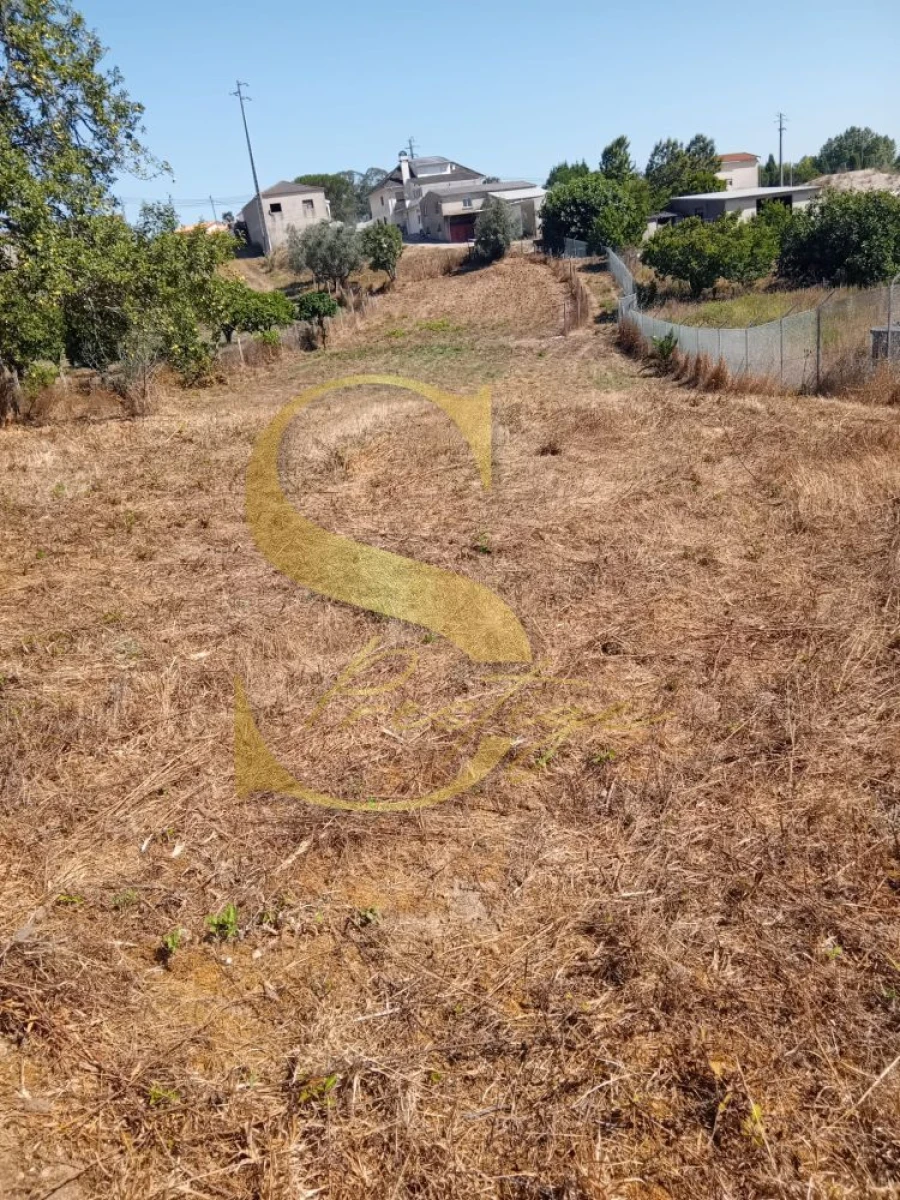 Moradia T3 para Venda em Santa Catarina da Serra e Chainça Foto 23