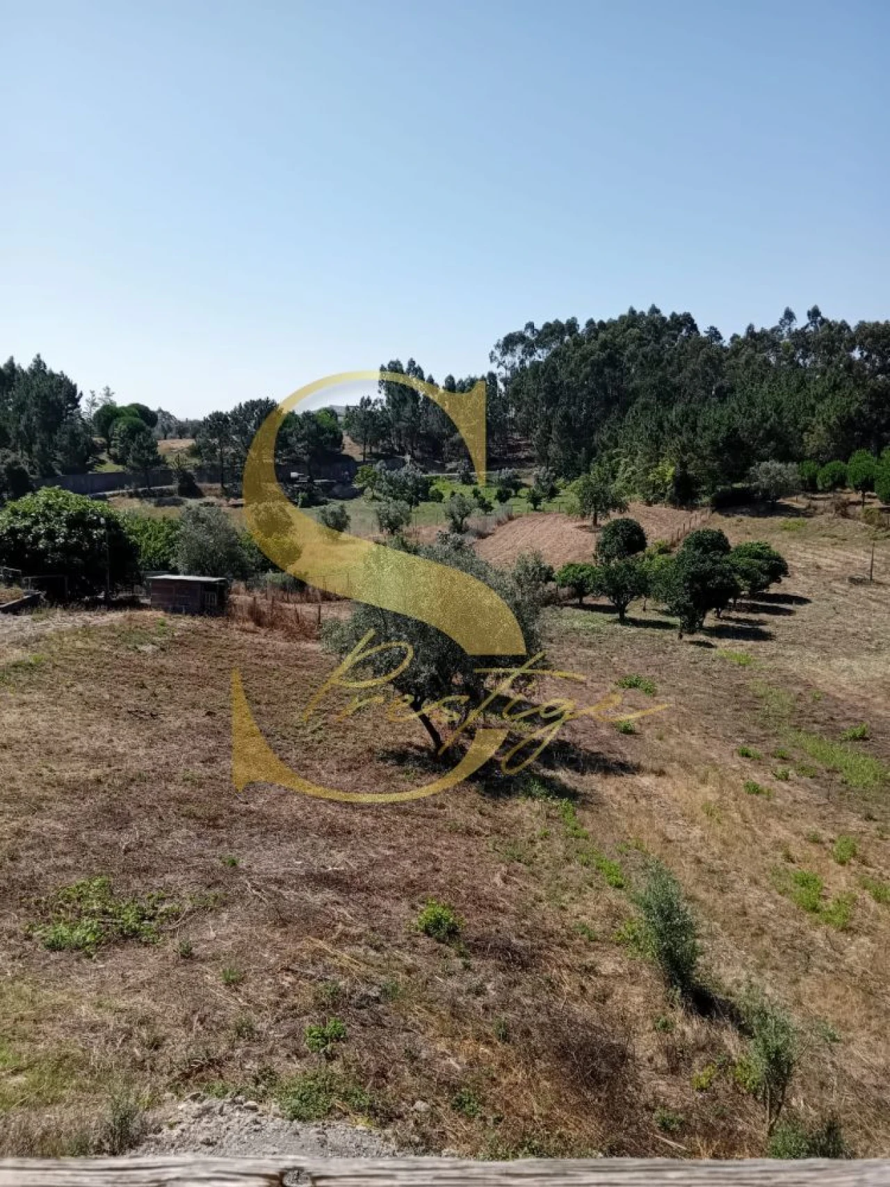 Moradia T3 para Venda em Santa Catarina da Serra e Chainça Foto 21