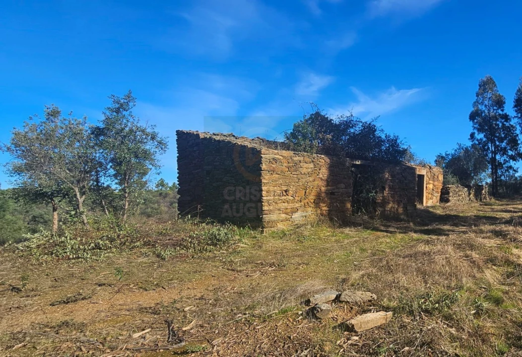 Terreno para Venda em Escalos de Baixo e Mata Foto 2