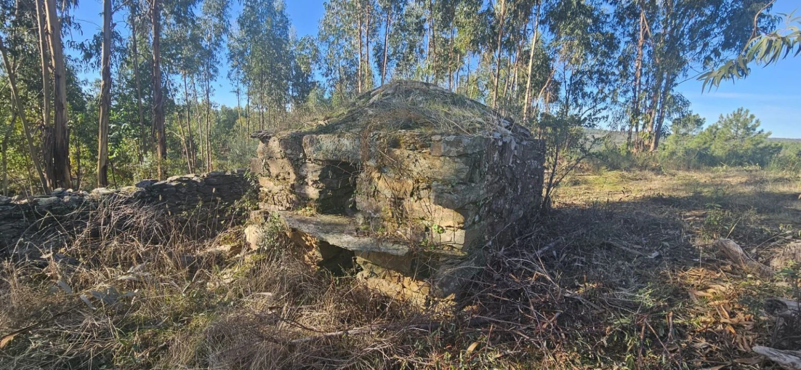 Terreno para Venda em Escalos de Baixo e Mata Foto 16