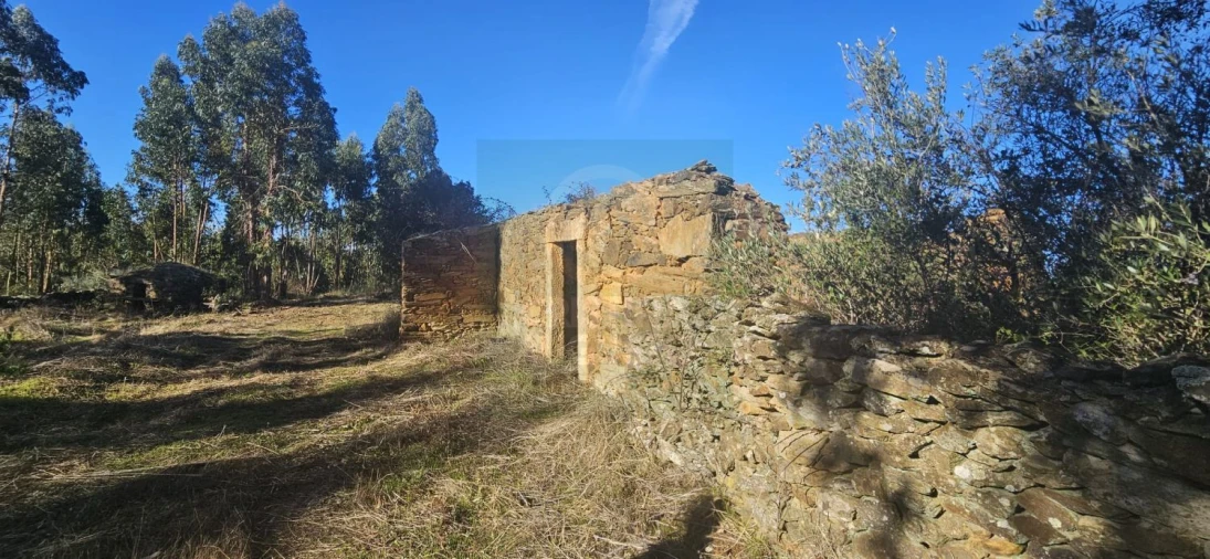 Terreno para Venda em Escalos de Baixo e Mata Foto 10