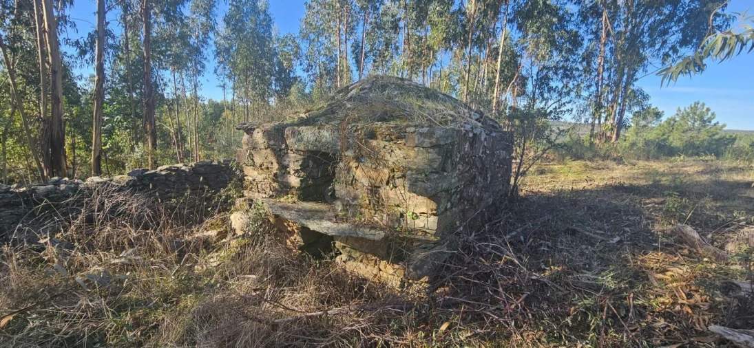 Terreno para Venda em Escalos de Baixo e Mata Foto 16
