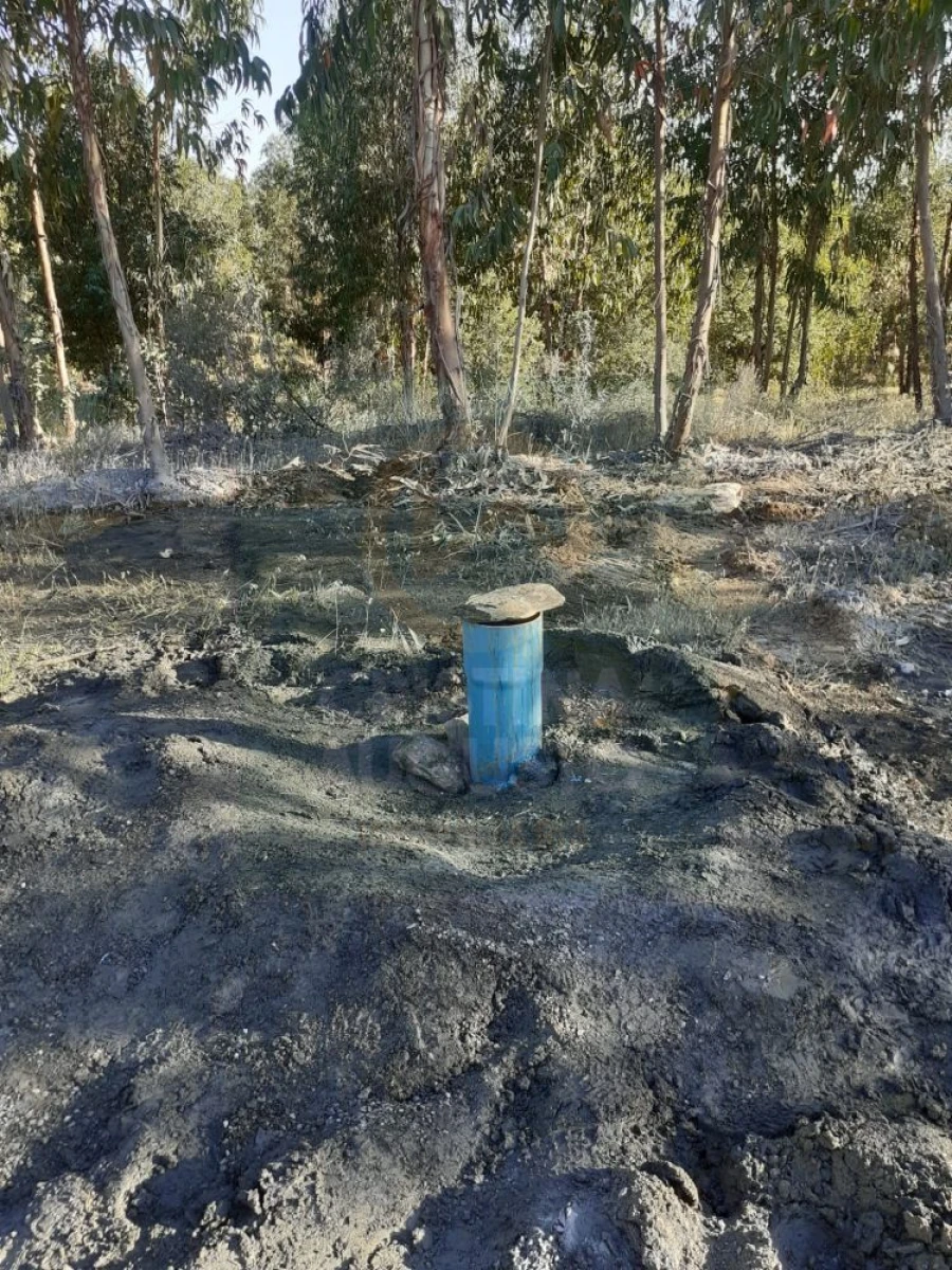 Terreno para Venda em Escalos de Baixo e Mata Foto 13