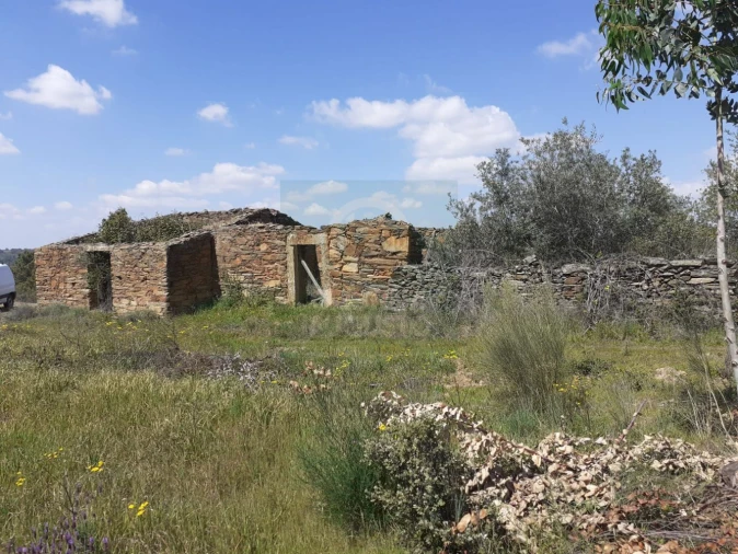 Terreno para Venda em Escalos de Baixo e Mata