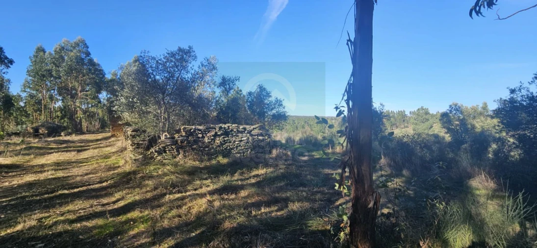 Terreno para Venda em Escalos de Baixo e Mata Foto 7