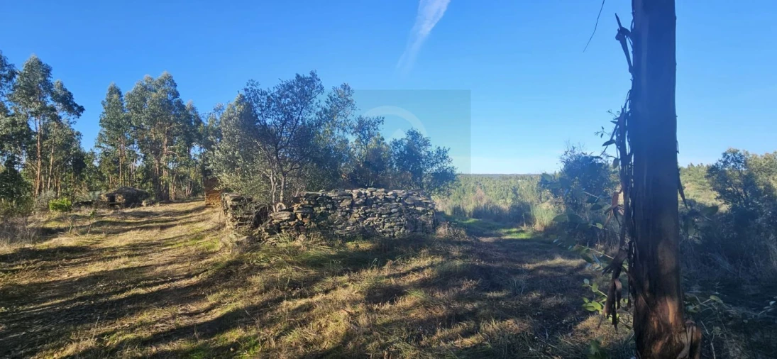 Terreno para Venda em Escalos de Baixo e Mata Foto 12