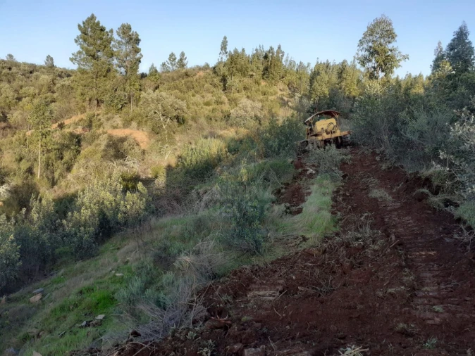 Terreno para Venda em Escalos de Baixo e Mata Foto 4