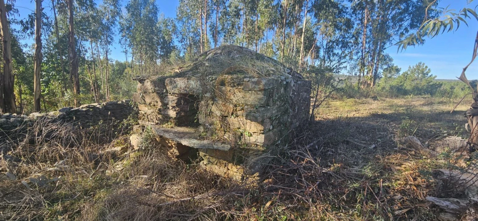 Terreno para Venda em Escalos de Baixo e Mata Foto 3