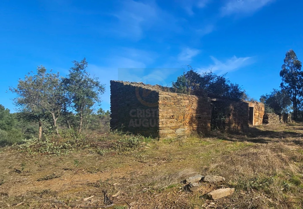 Terreno para Venda em Escalos de Baixo e Mata Foto 5