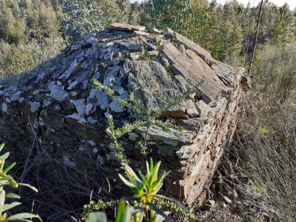 Terreno para Venda em Escalos de Baixo e Mata Foto 11
