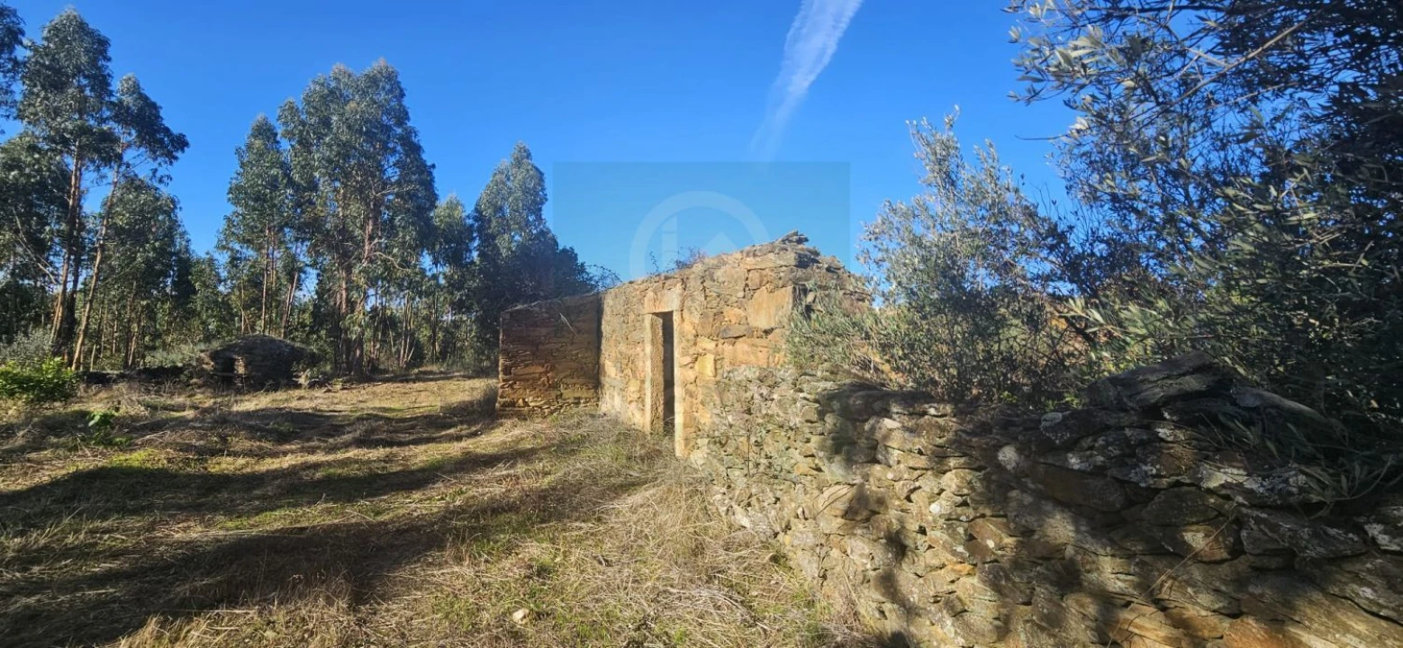 Terreno para Venda em Escalos de Baixo e Mata Foto 8