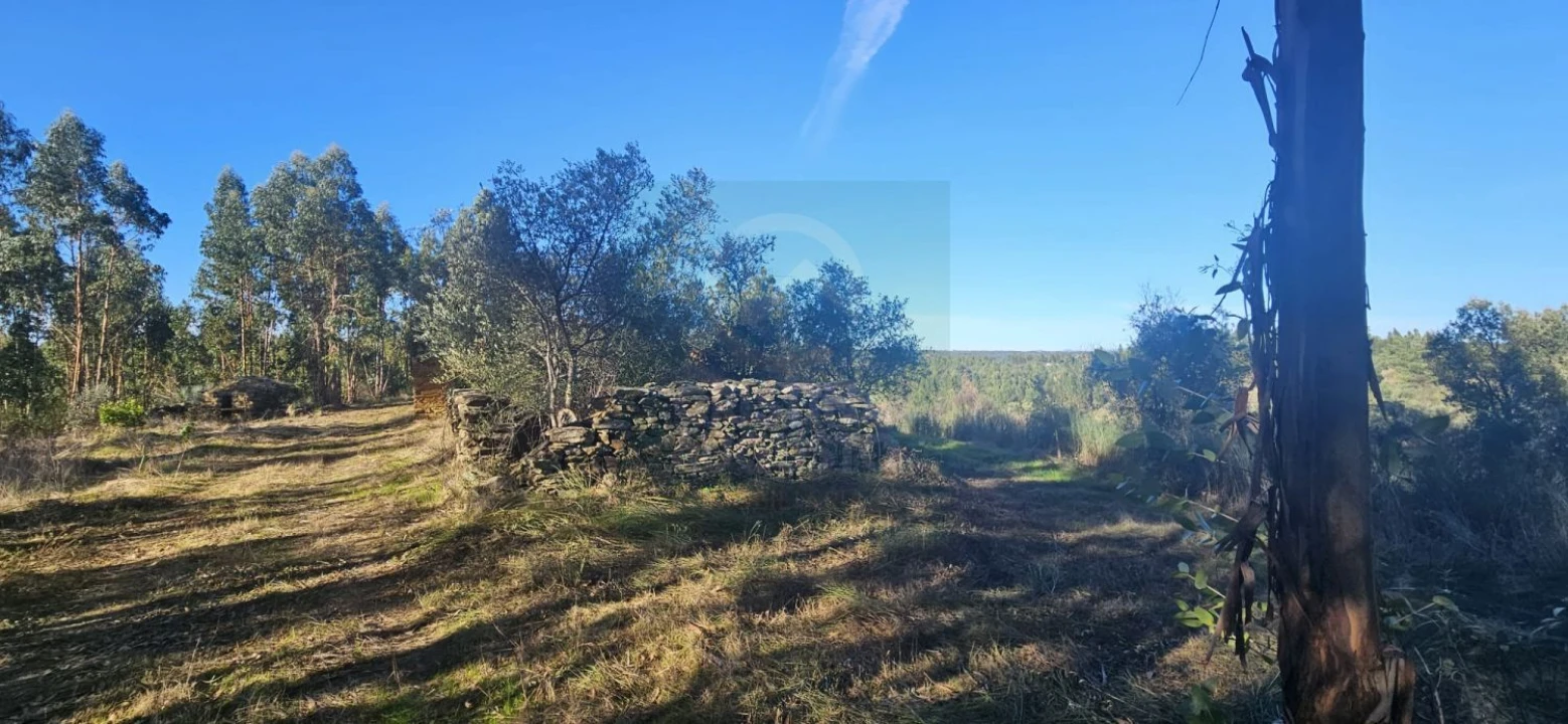 Terreno para Venda em Escalos de Baixo e Mata Foto 12