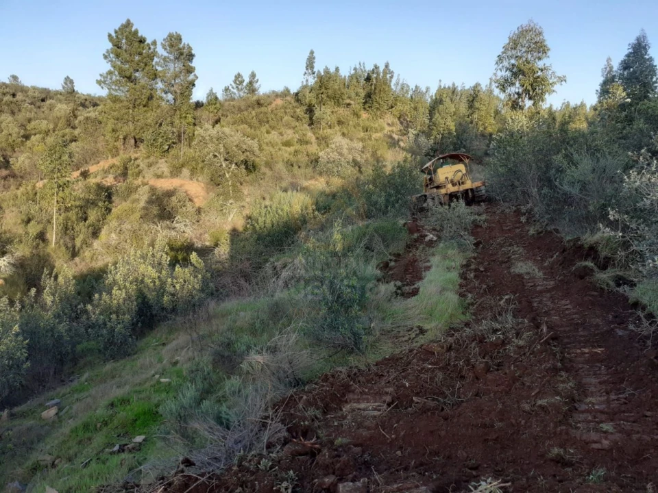 Terreno para Venda em Escalos de Baixo e Mata Foto 4