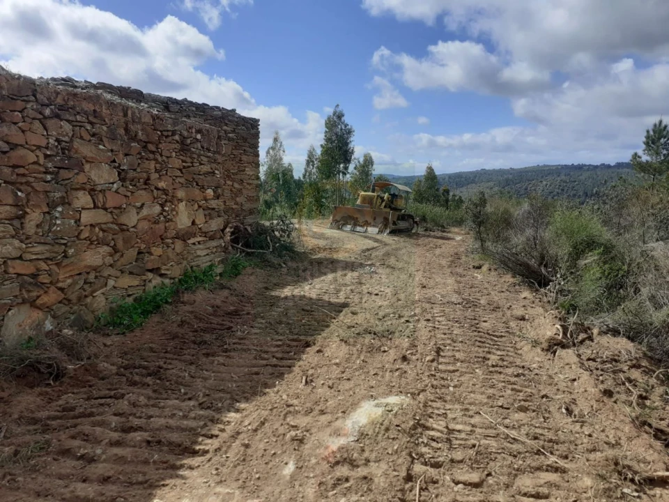 Terreno para Venda em Escalos de Baixo e Mata Foto 15