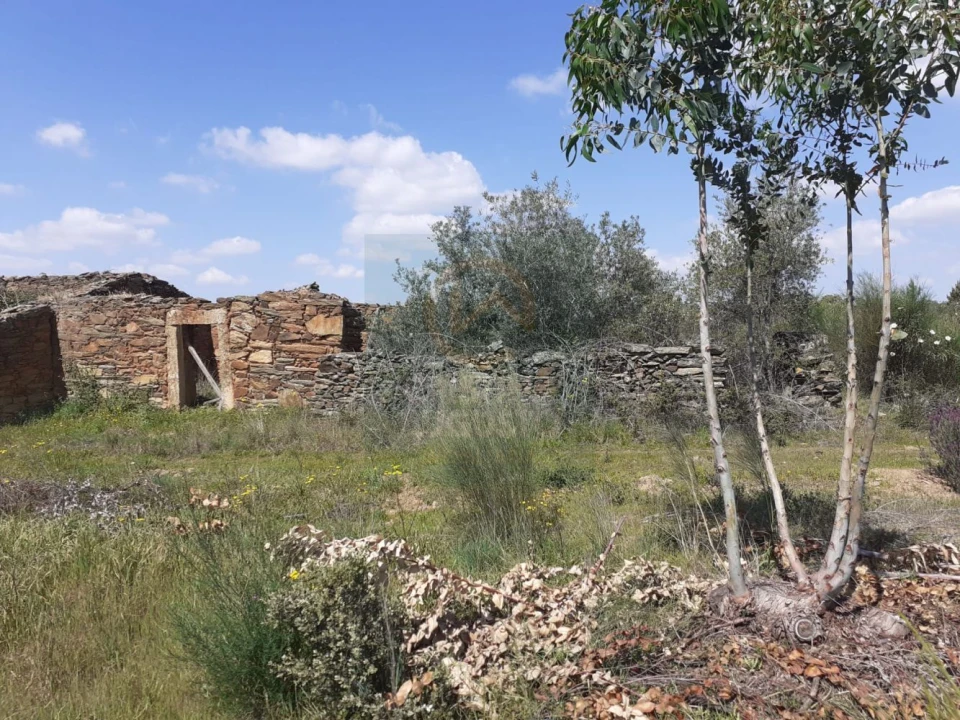 Terreno para Venda em Escalos de Baixo e Mata Foto 17