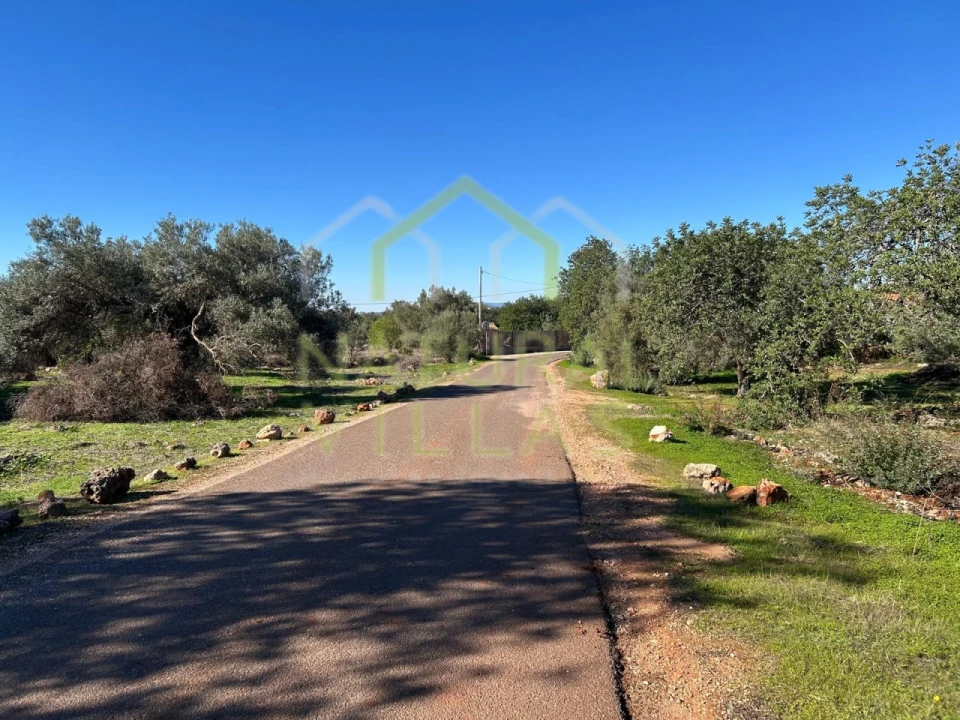 Terreno Agricola ou Rústico para Venda em Alte Foto 1