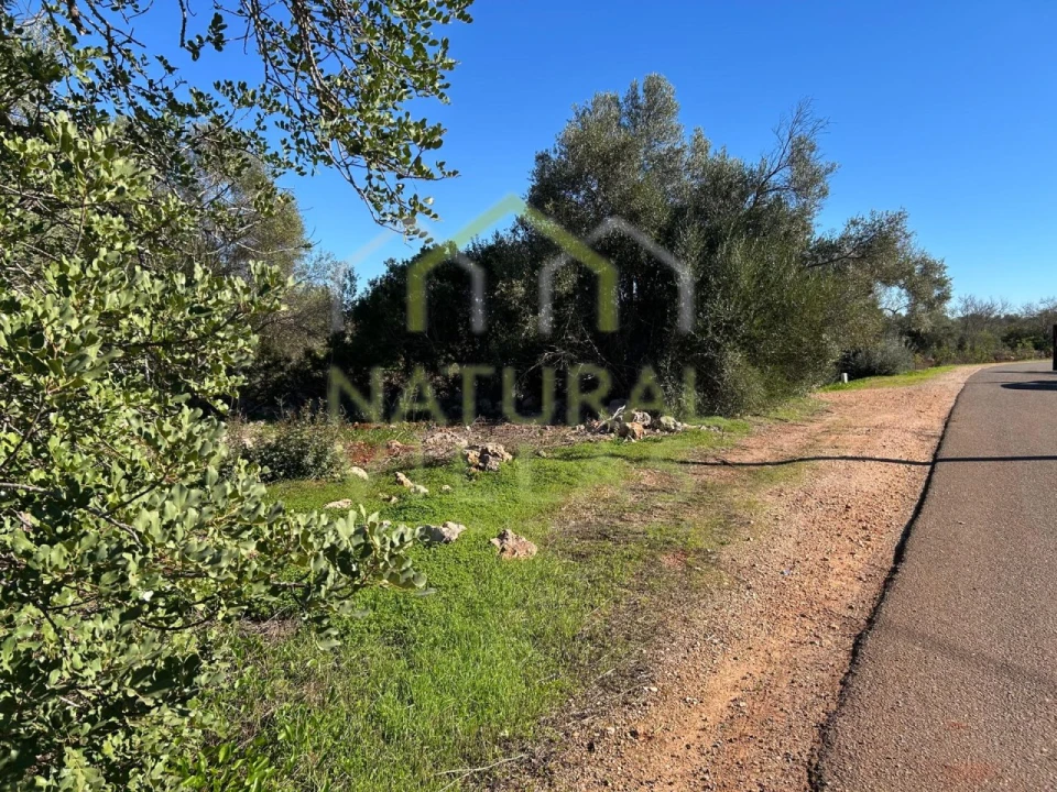 Terreno Agricola ou Rústico para Venda em Alte Foto 3