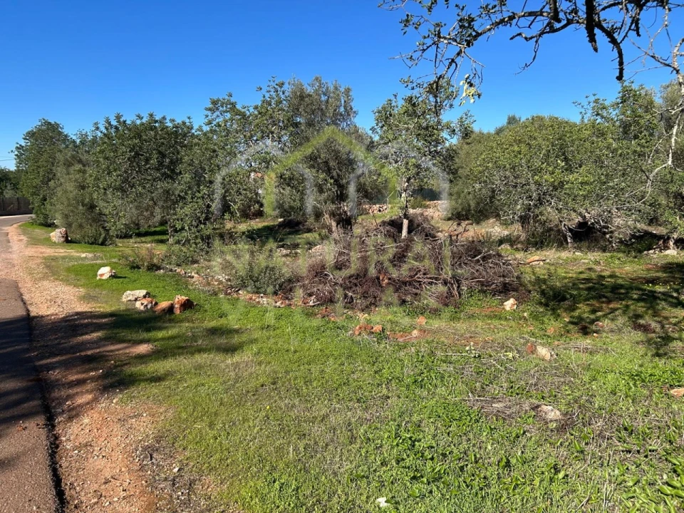 Terreno Agricola ou Rústico para Venda em Alte Foto 4