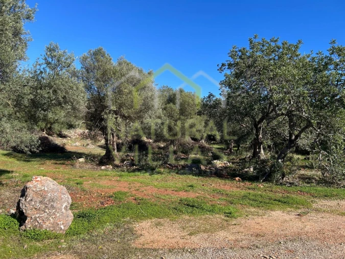 Terreno Agricola ou Rústico para Venda em Alte Foto 5