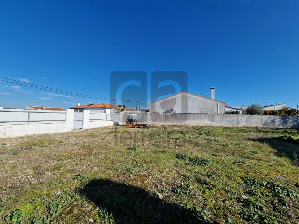 Terreno para Venda em Alpiarça Foto 10