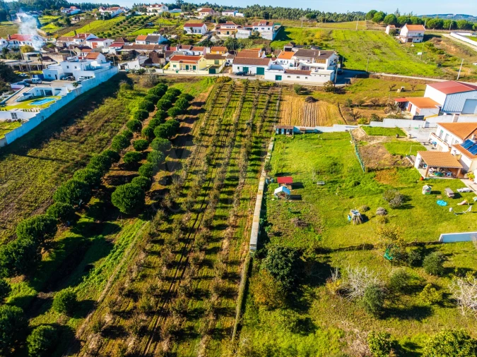 Terreno para Venda em Bombarral e Vale Covo Foto 3