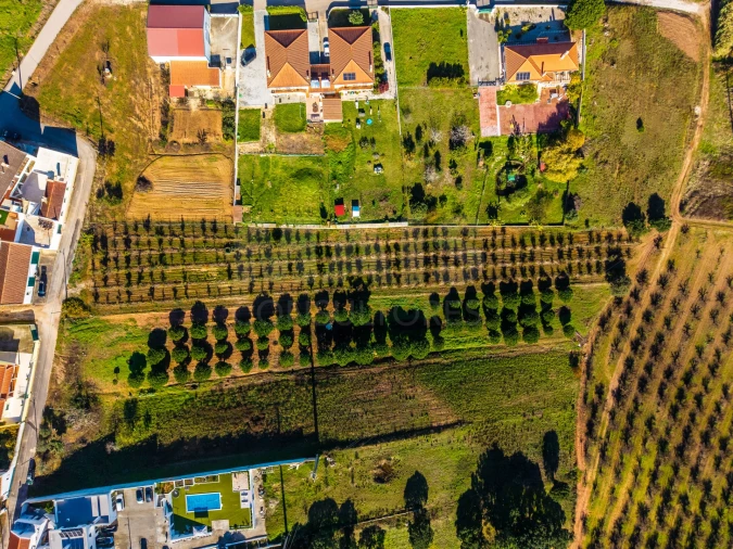 Terreno para Venda em Bombarral e Vale Covo Foto 9