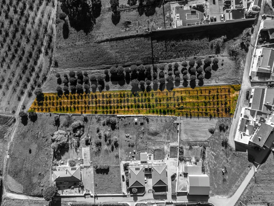 Terreno para Venda em Bombarral e Vale Covo Foto 1