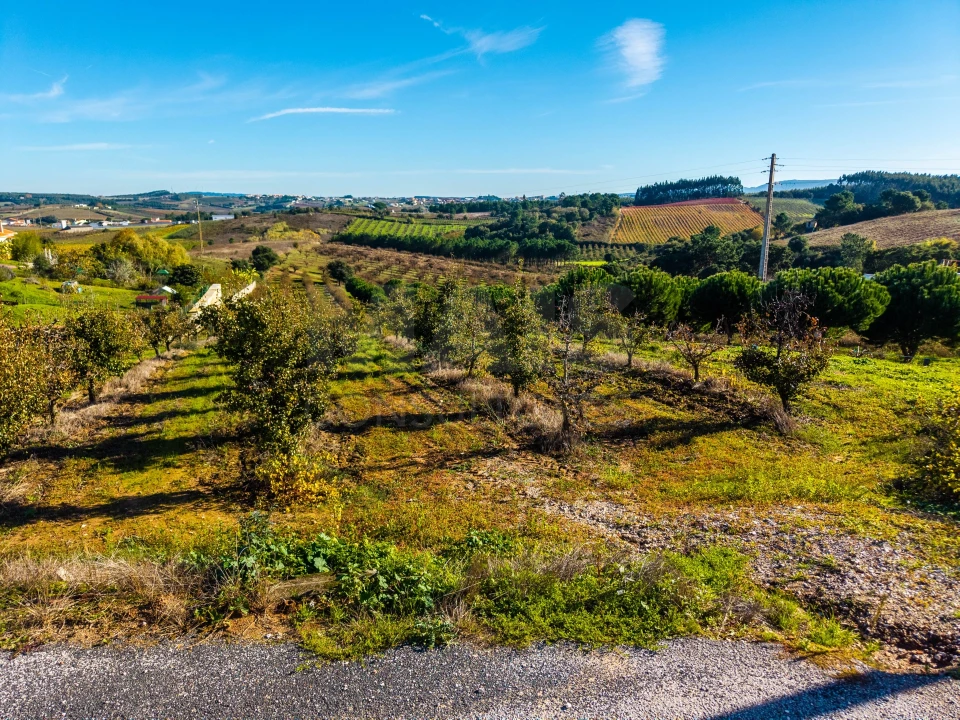 Terreno para Venda em Bombarral e Vale Covo Foto 7