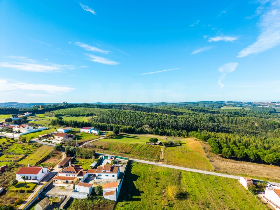 Terreno para Venda em Bombarral e Vale Covo Foto 6