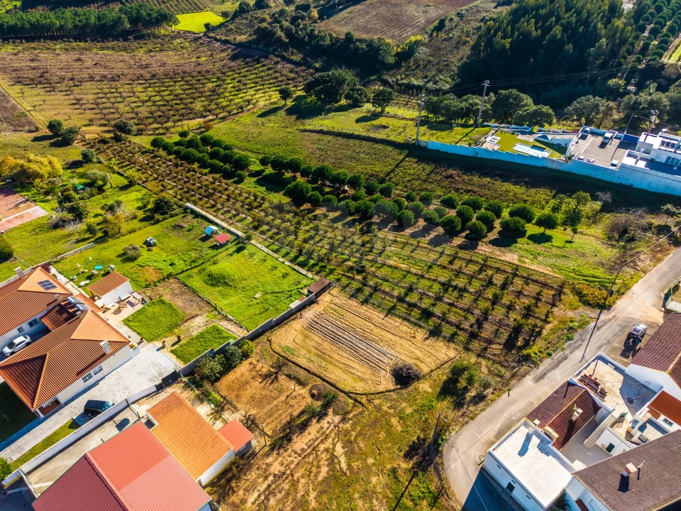 Terreno para Venda em Bombarral e Vale Covo Foto 4