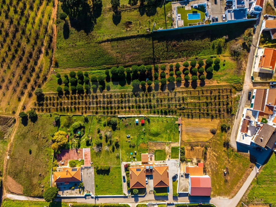 Terreno para Venda em Bombarral e Vale Covo Foto 2