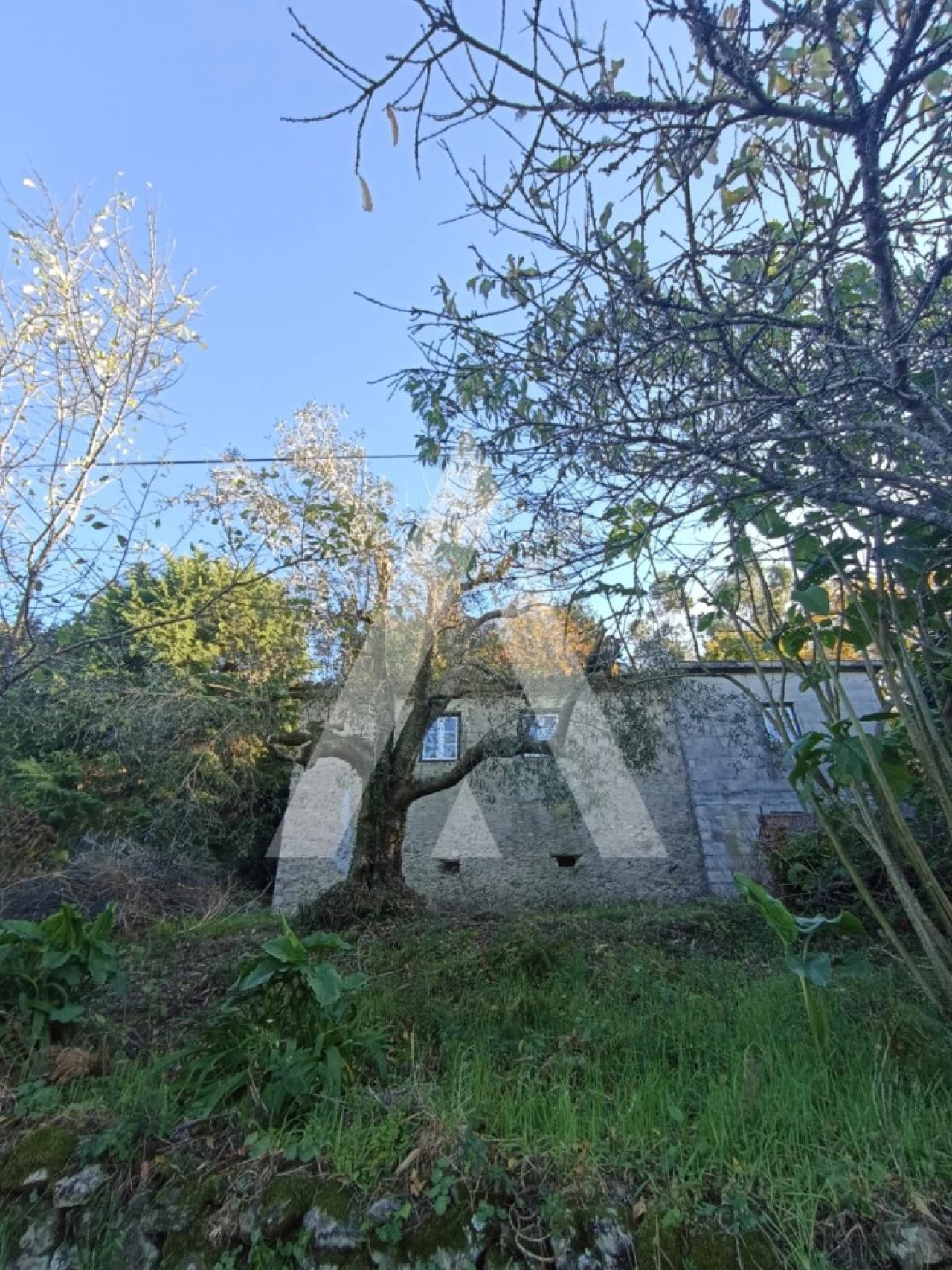 Moradia T1 para Venda em Montaria Foto 3