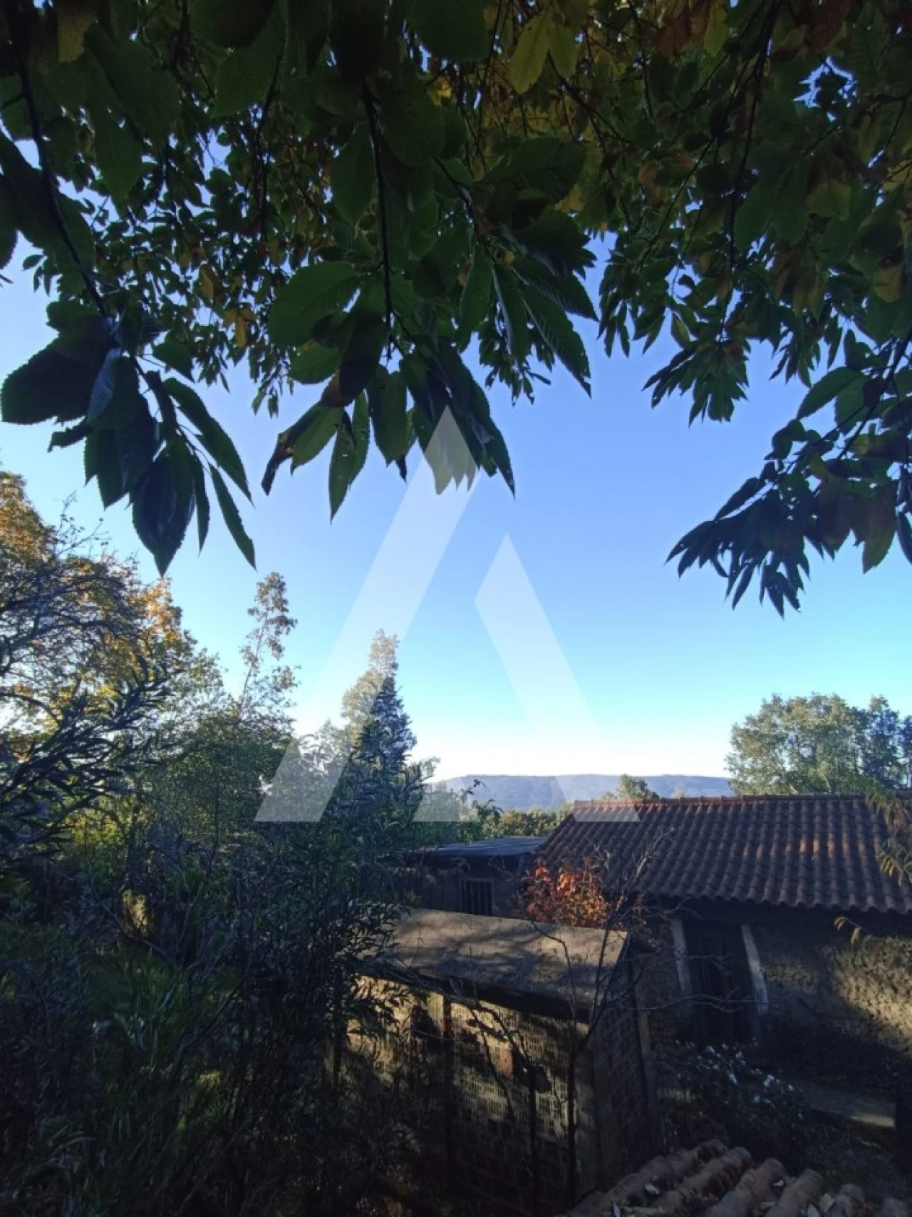 Moradia T1 para Venda em Montaria Foto 9