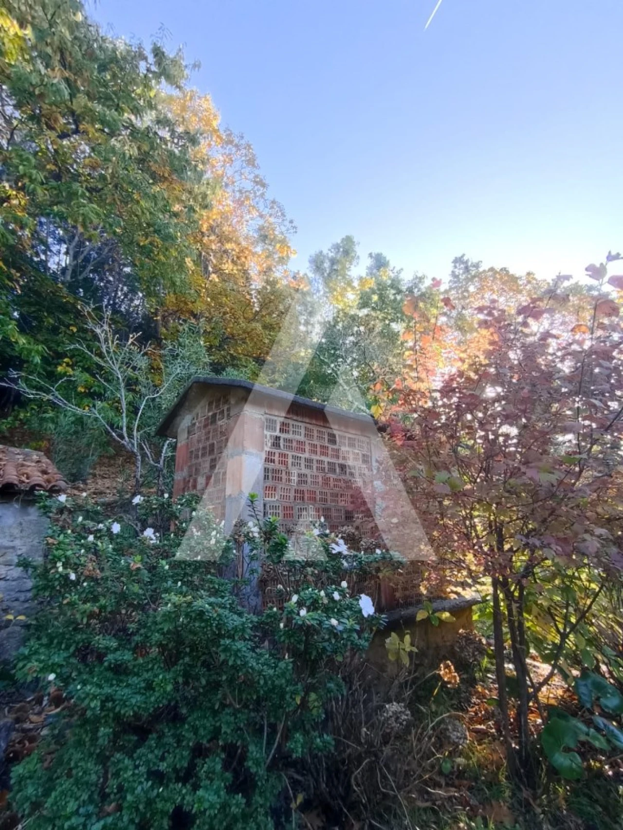 Moradia T1 para Venda em Montaria Foto 7