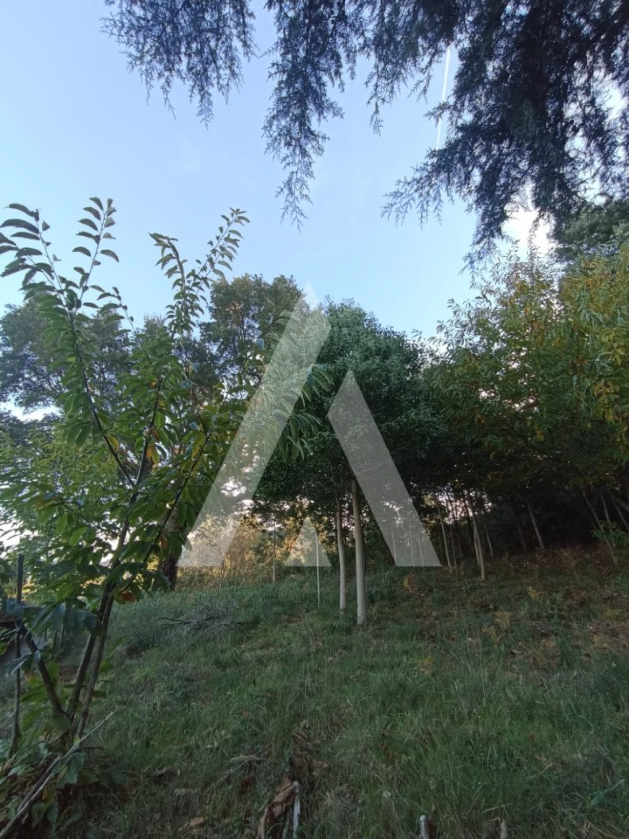 Moradia T1 para Venda em Montaria Foto 12