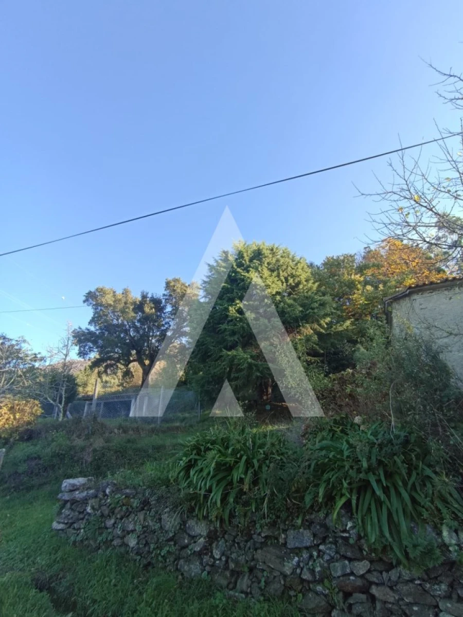 Moradia T1 para Venda em Montaria Foto 4