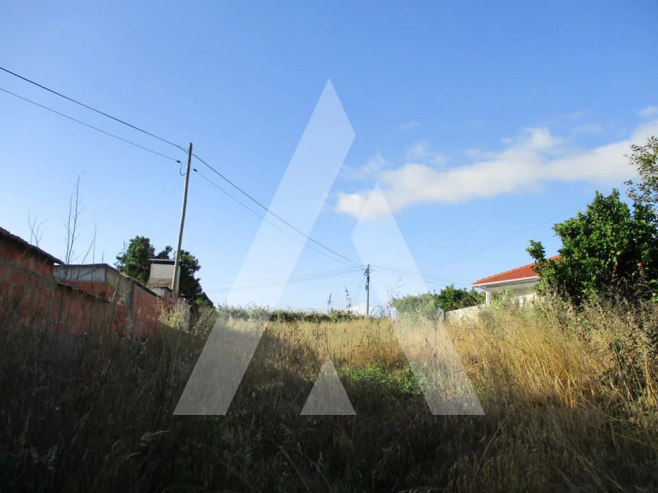 Terreno para Venda em Bustos, Troviscal e Mamarrosa Foto 1