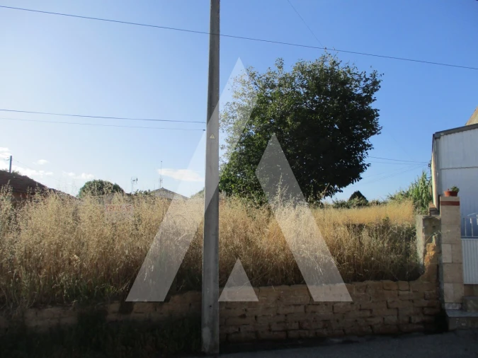 Terreno para Venda em Bustos, Troviscal e Mamarrosa Foto 3