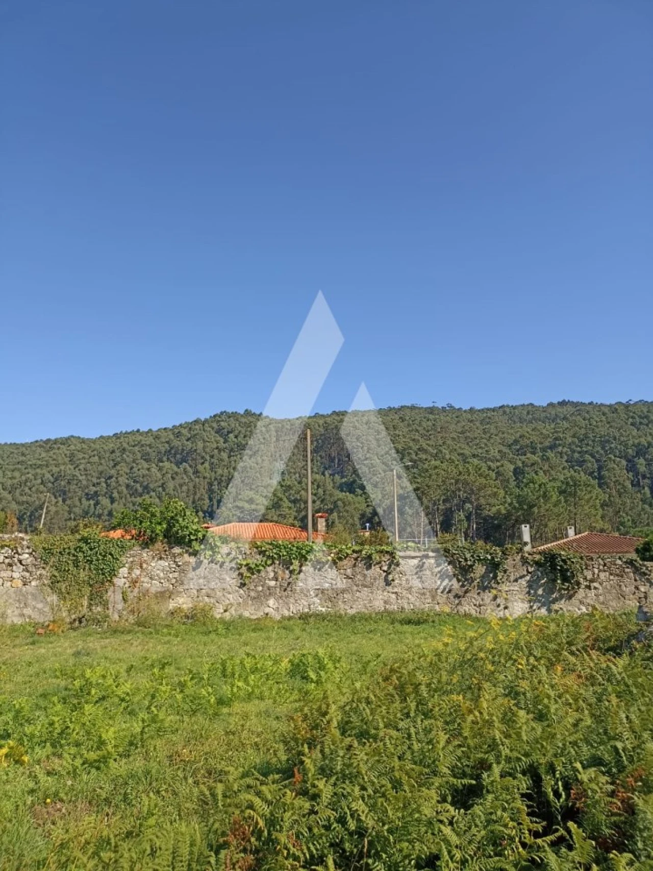 Terreno para Venda em Carreço Foto 1