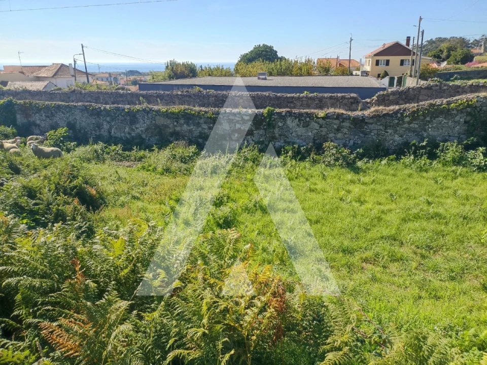 Terreno para Venda em Carreço Foto 6