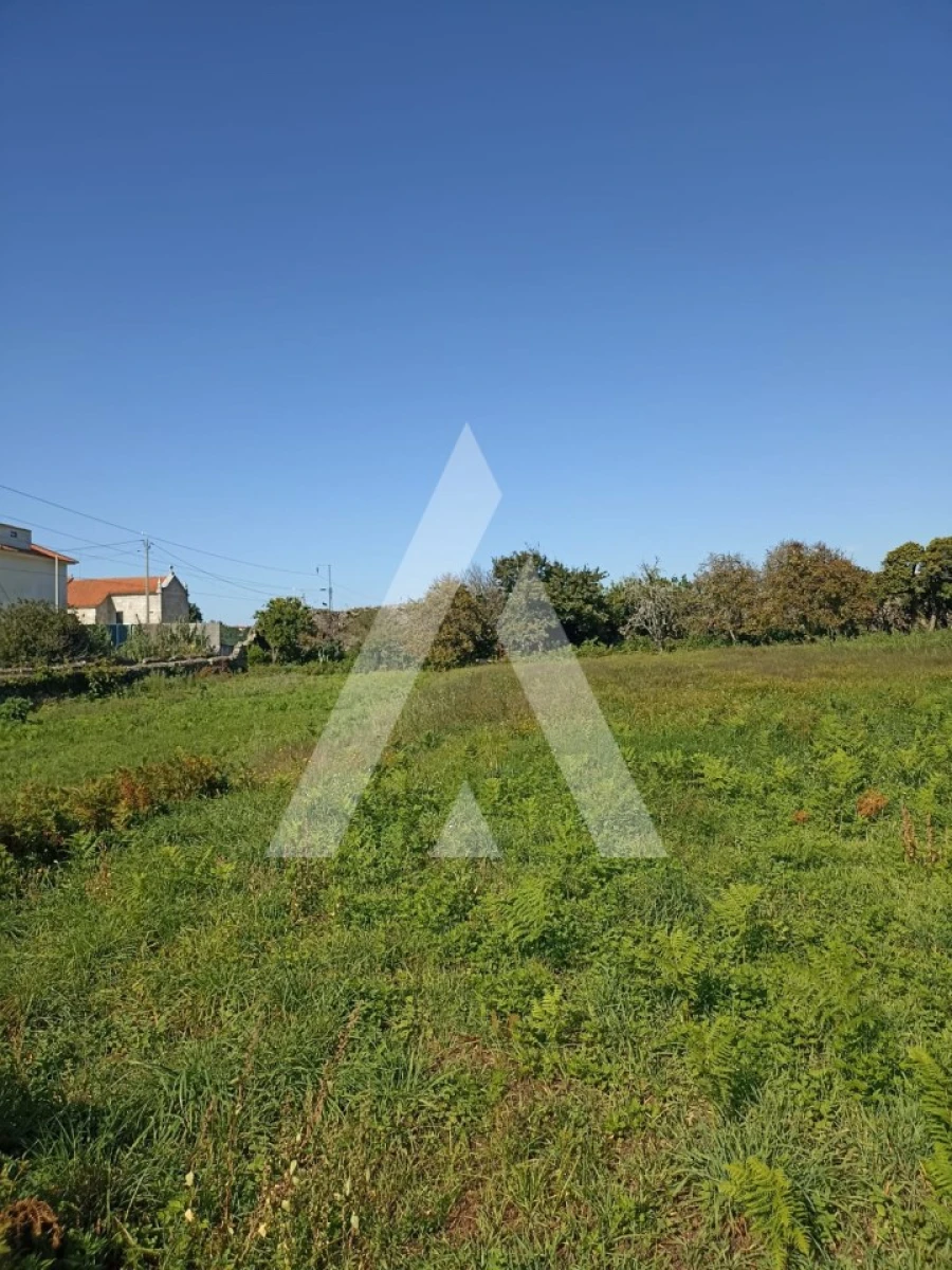 Terreno para Venda em Carreço Foto 3