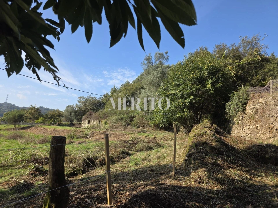 Terreno para Venda em Pico de Regalados, Gondiães e Mós Foto 13