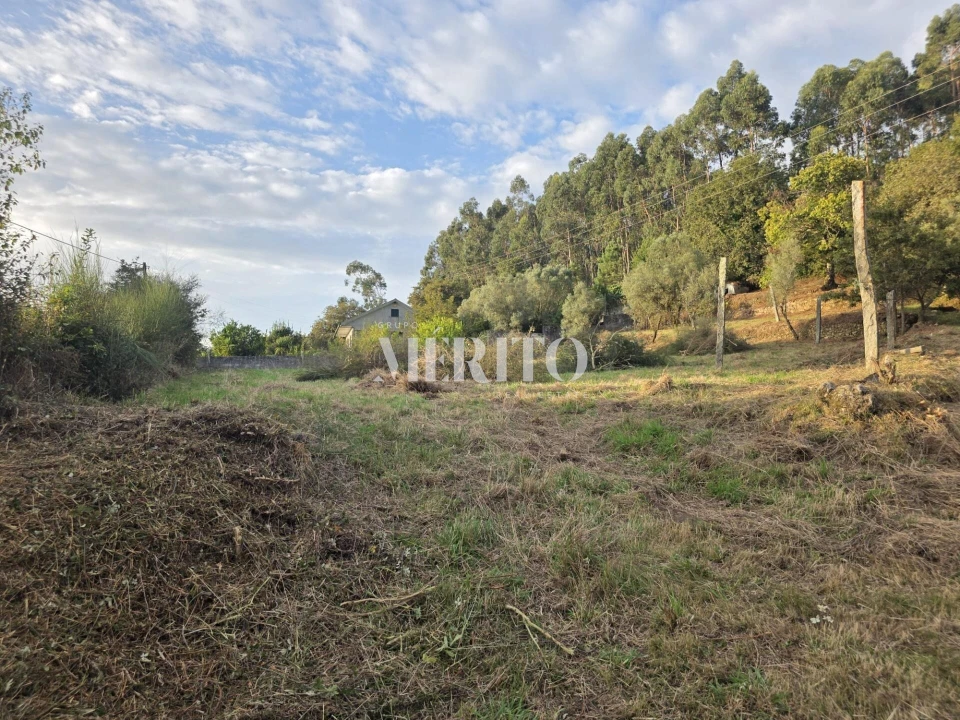 Terreno para Venda em Pico de Regalados, Gondiães e Mós Foto 27